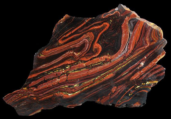 Polished Tiger Iron Stromatolite - ( Billion Years) #64008
